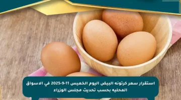 استقرار سعر كرتونة البيض اليوم الخميس 11-9-2025 في الأسواق المحلية بحسب تحديث مجلس الوزراء